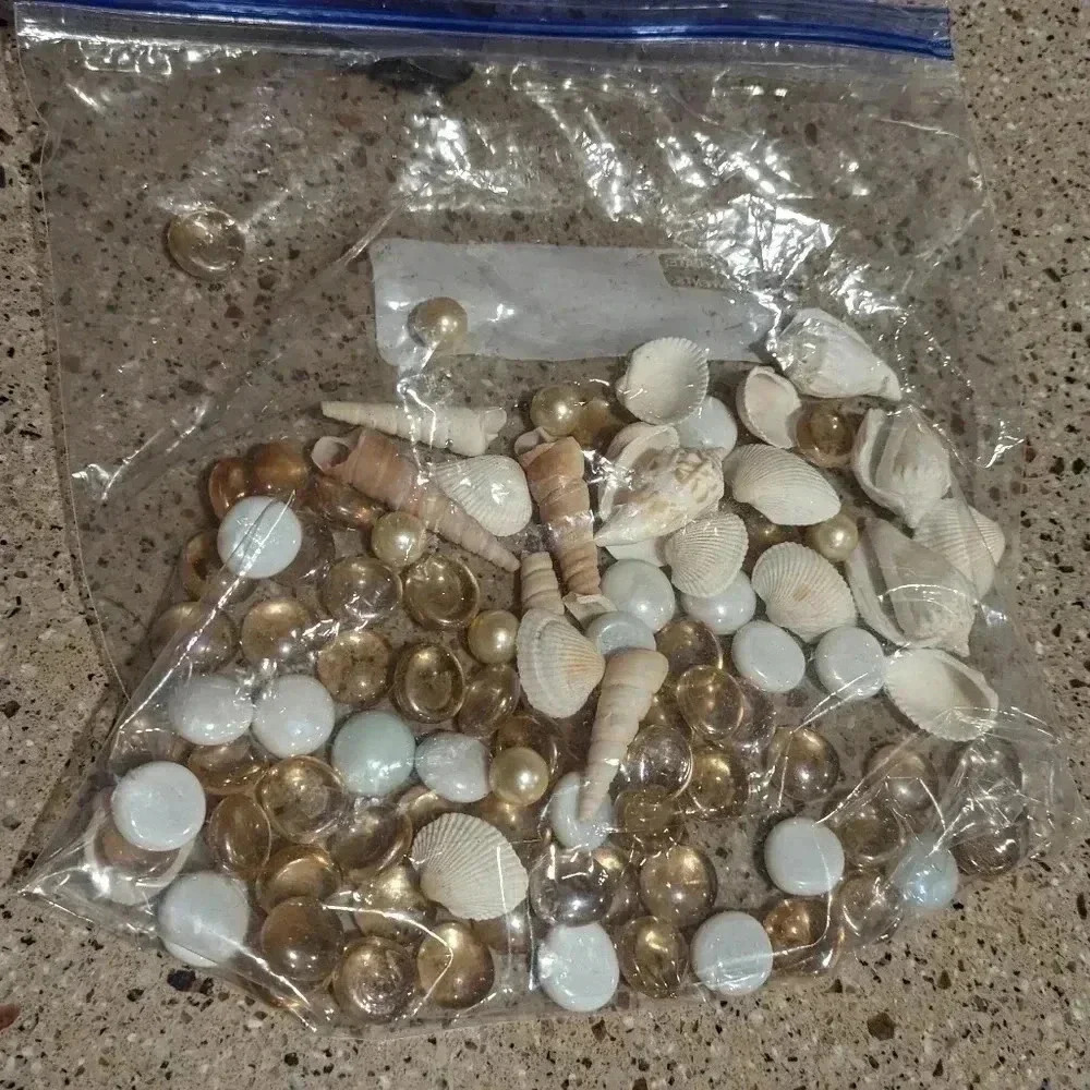 Seashell Vase Filler Decoration (New)